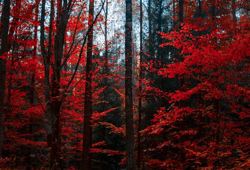 pexels-photo-1547813