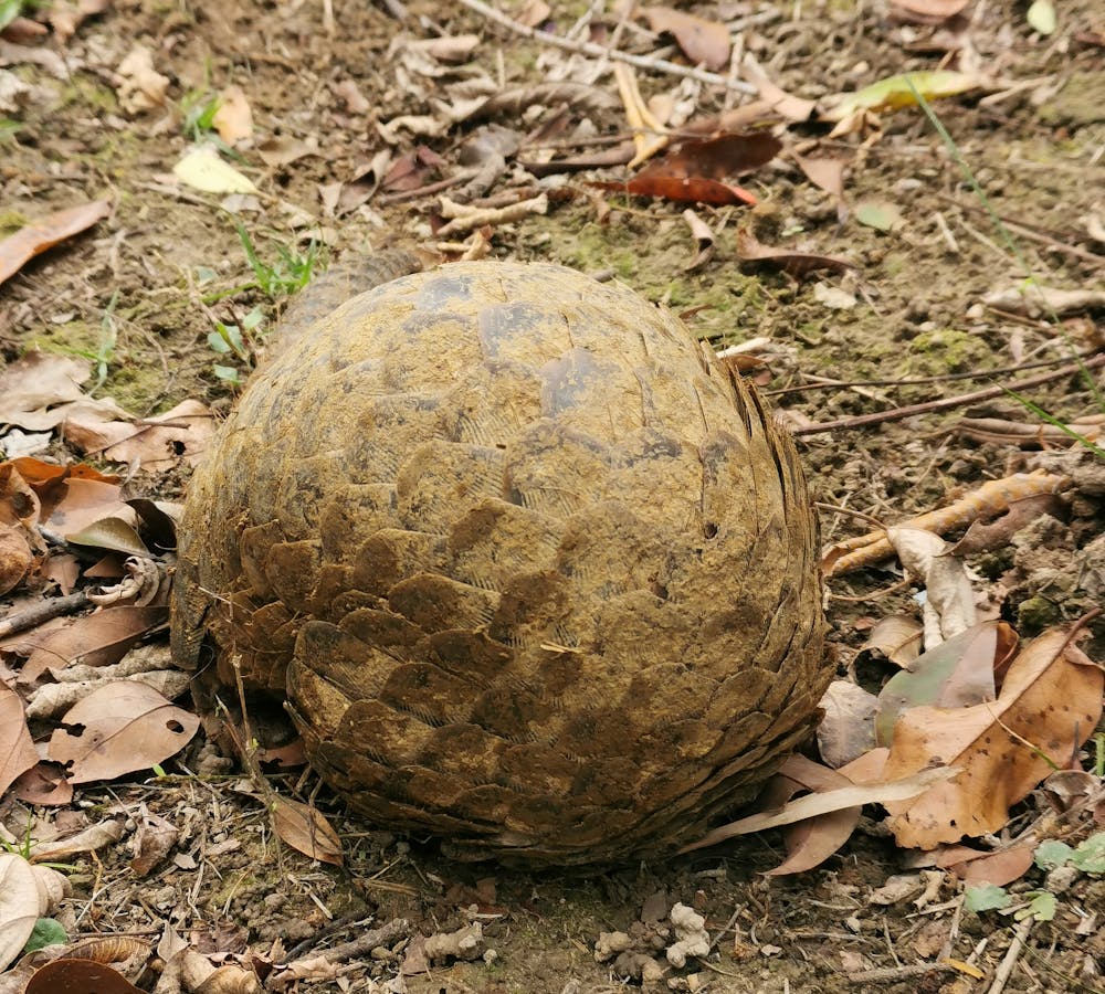 pexels-photo-15839656-2